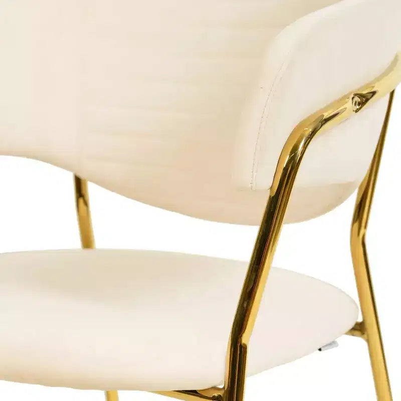 LeisureMod Dining Chair Upholstered in Leather & Velvet, Ergonomic Padded Seat & Back, Durable Stainless Steel Base  Bella Series Accent Armchair